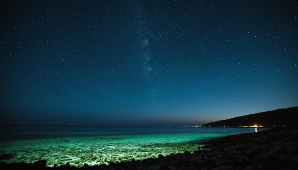 Pollution lumineuse marine : conséquences pour la faune et la flore sous-marines